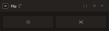 Screenshot of the Flip control in Fictura