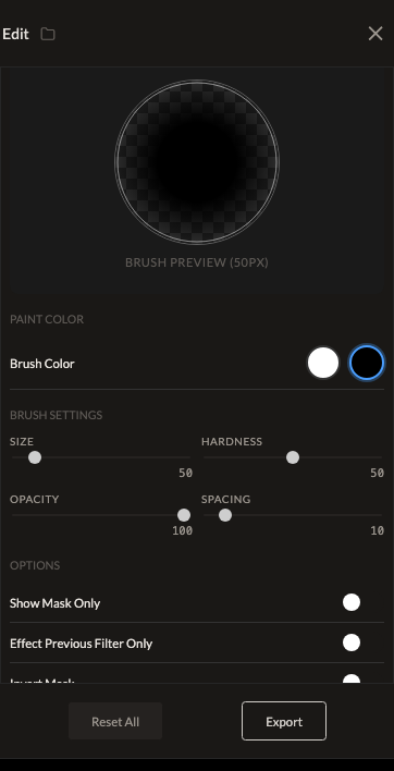 Screenshot of the Mask control in Fictura