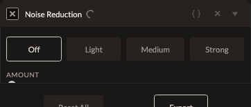 Screenshot of the Noise Reduction control in Fictura