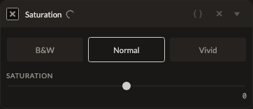 Screenshot of the Saturation control in Fictura