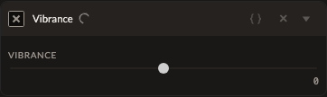 Screenshot of the Vibrance control in Fictura