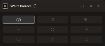 Screenshot of the White Balance control in Fictura