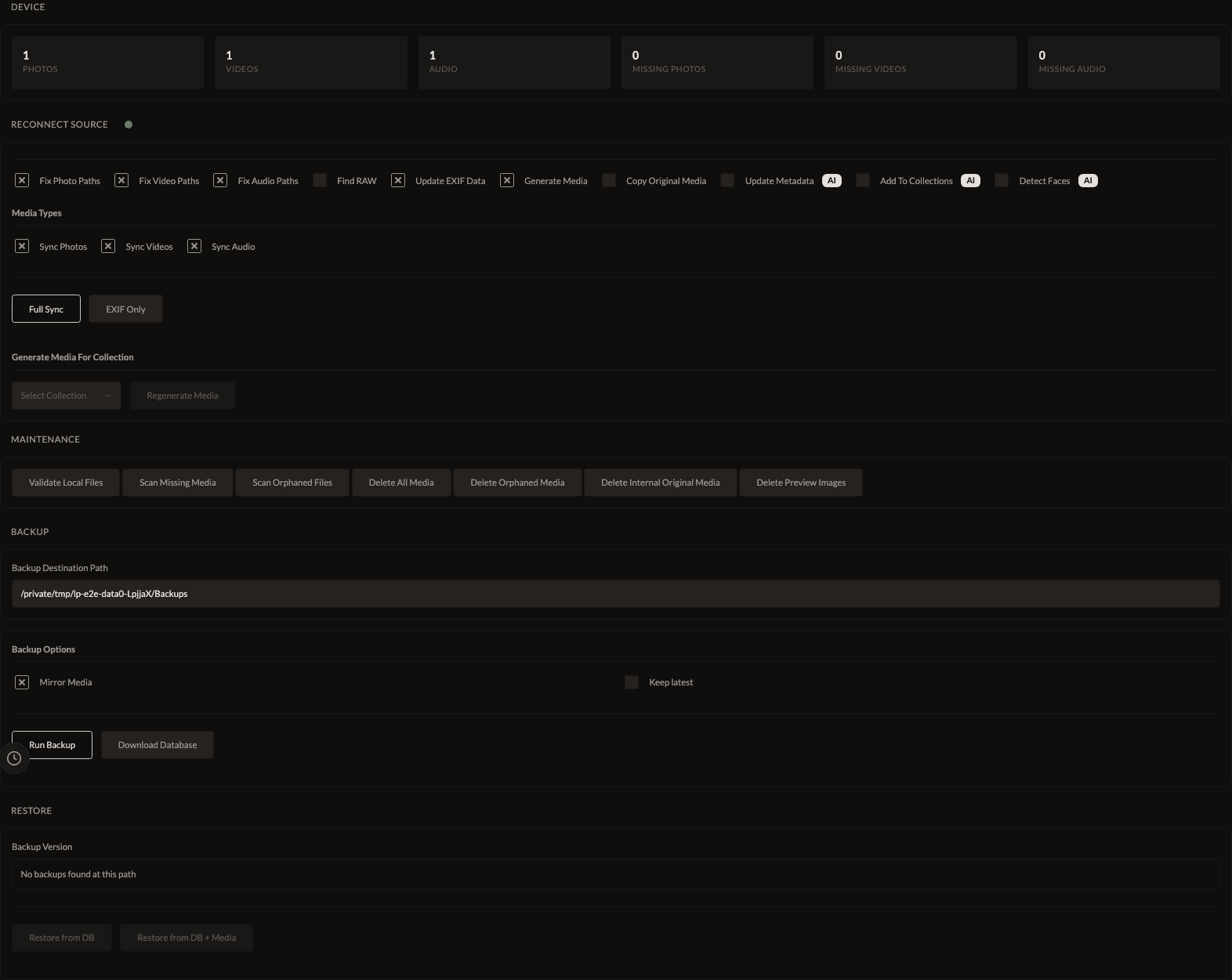 Fictura's sync and path-repair tools